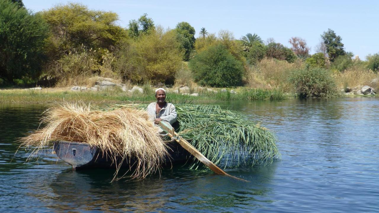 Nubian Farm Aswan Villa Exteriör bild